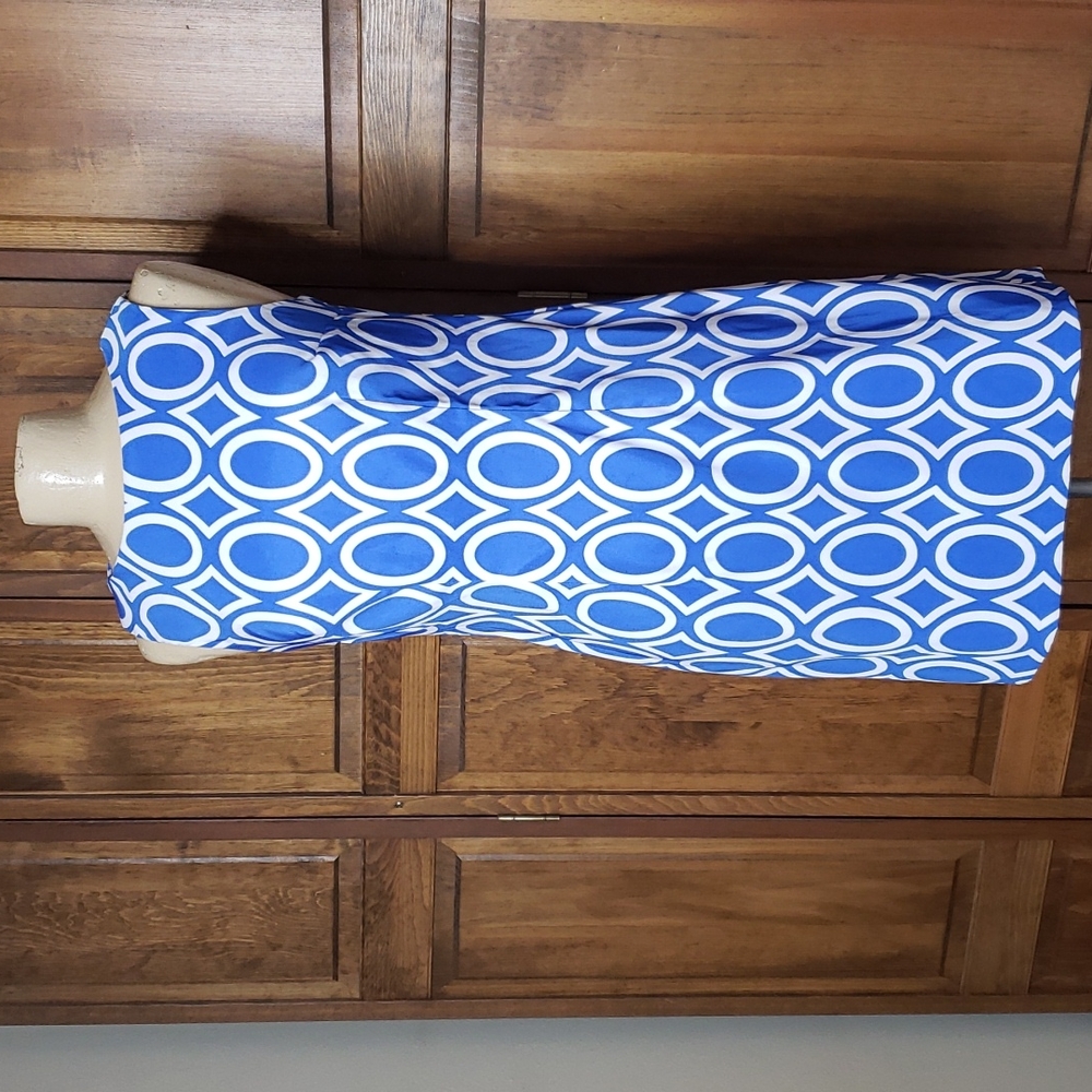 Alyx NWOT Sleeveless Sheath Dress Sz 6